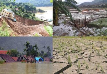 Những biểu hiện của biến đổi khí hậu ở Việt Nam